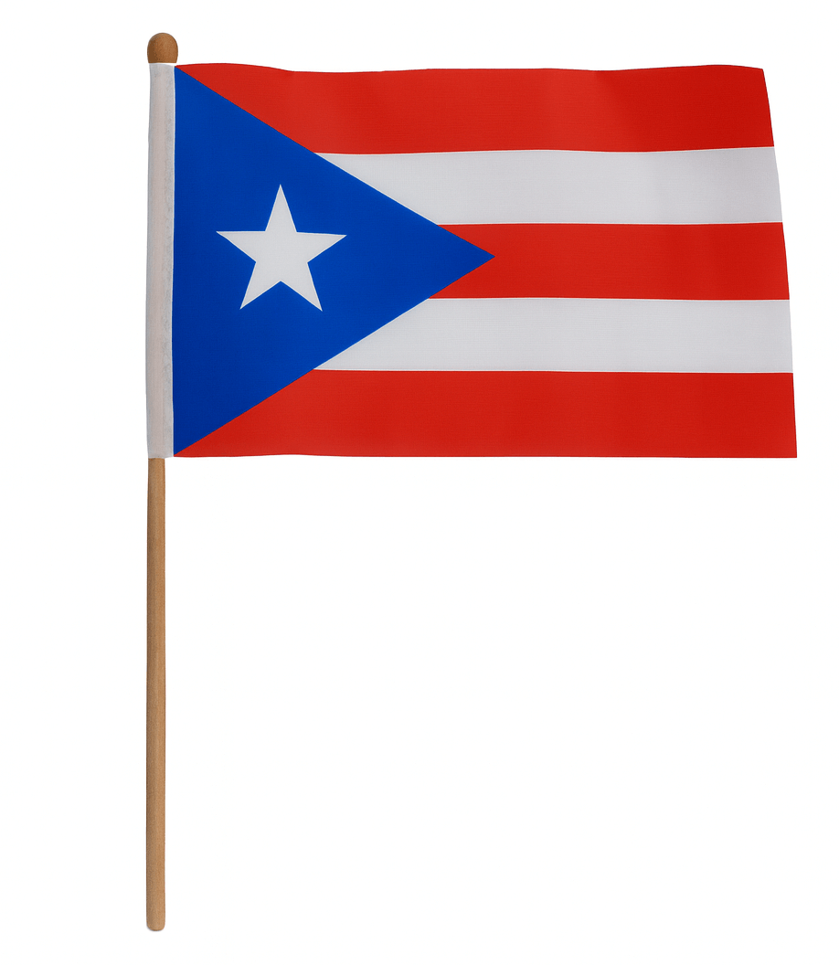 Bandera de Puerto Rico 4" x 6"