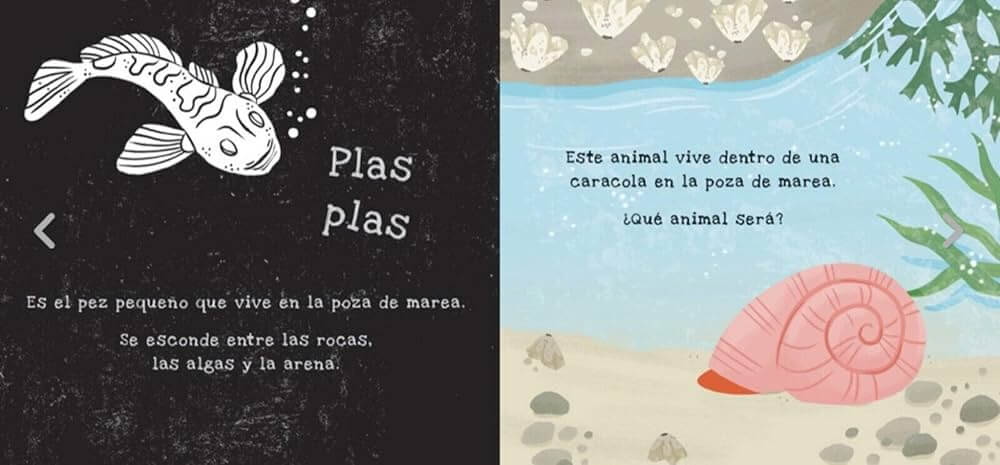 Story Book Secretos de la Costa