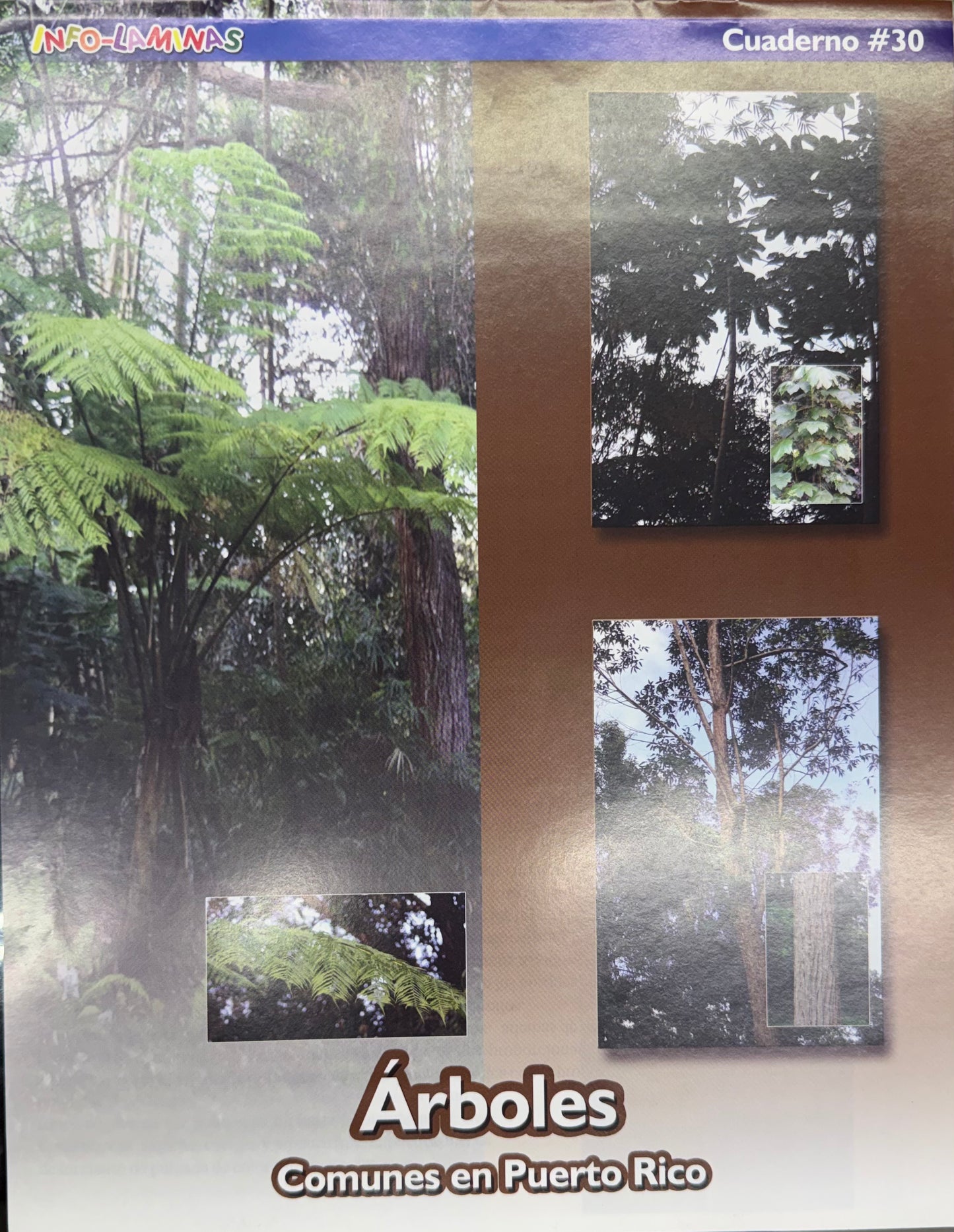 Picture Book Arboles Comunes en PR