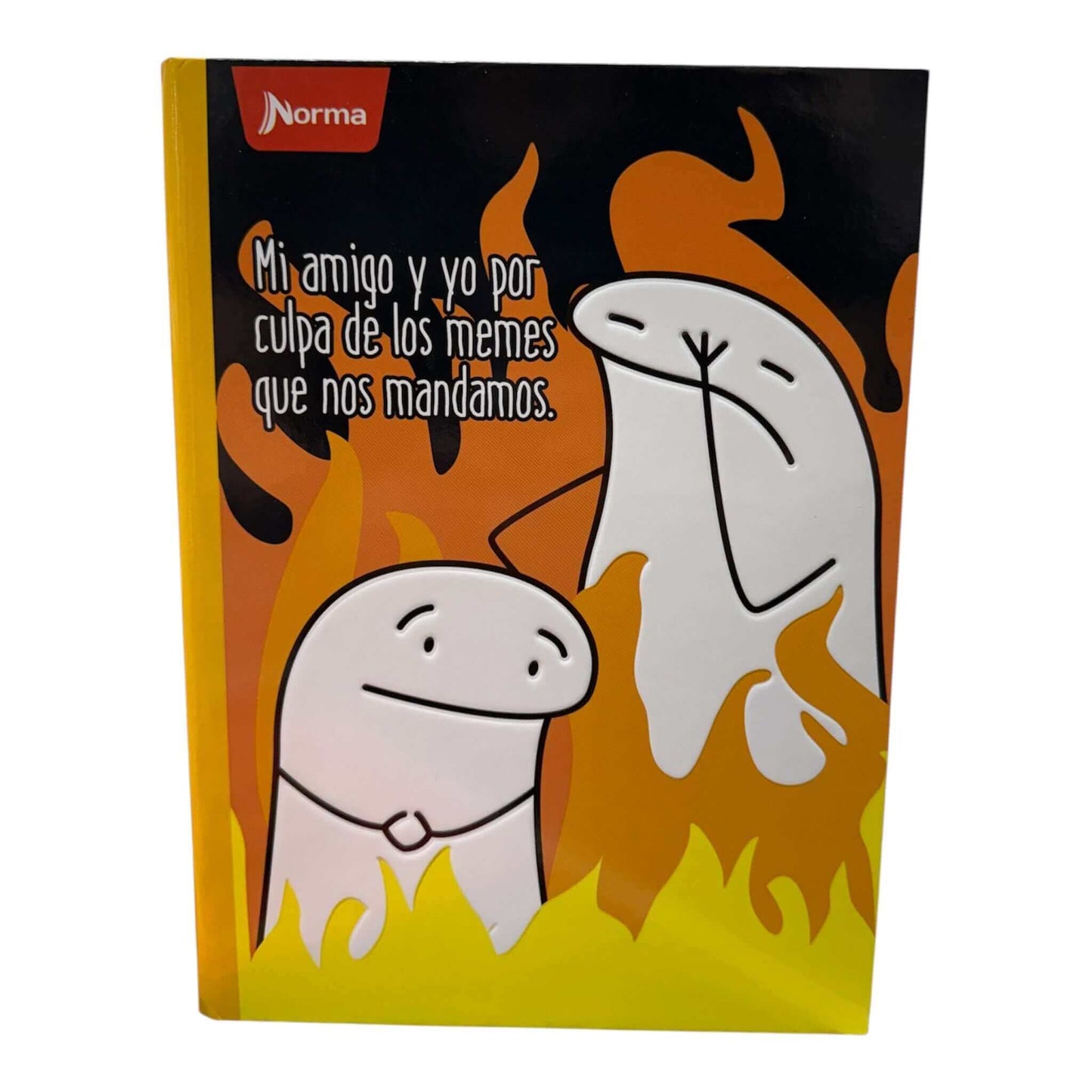 Regular Notebook Memes