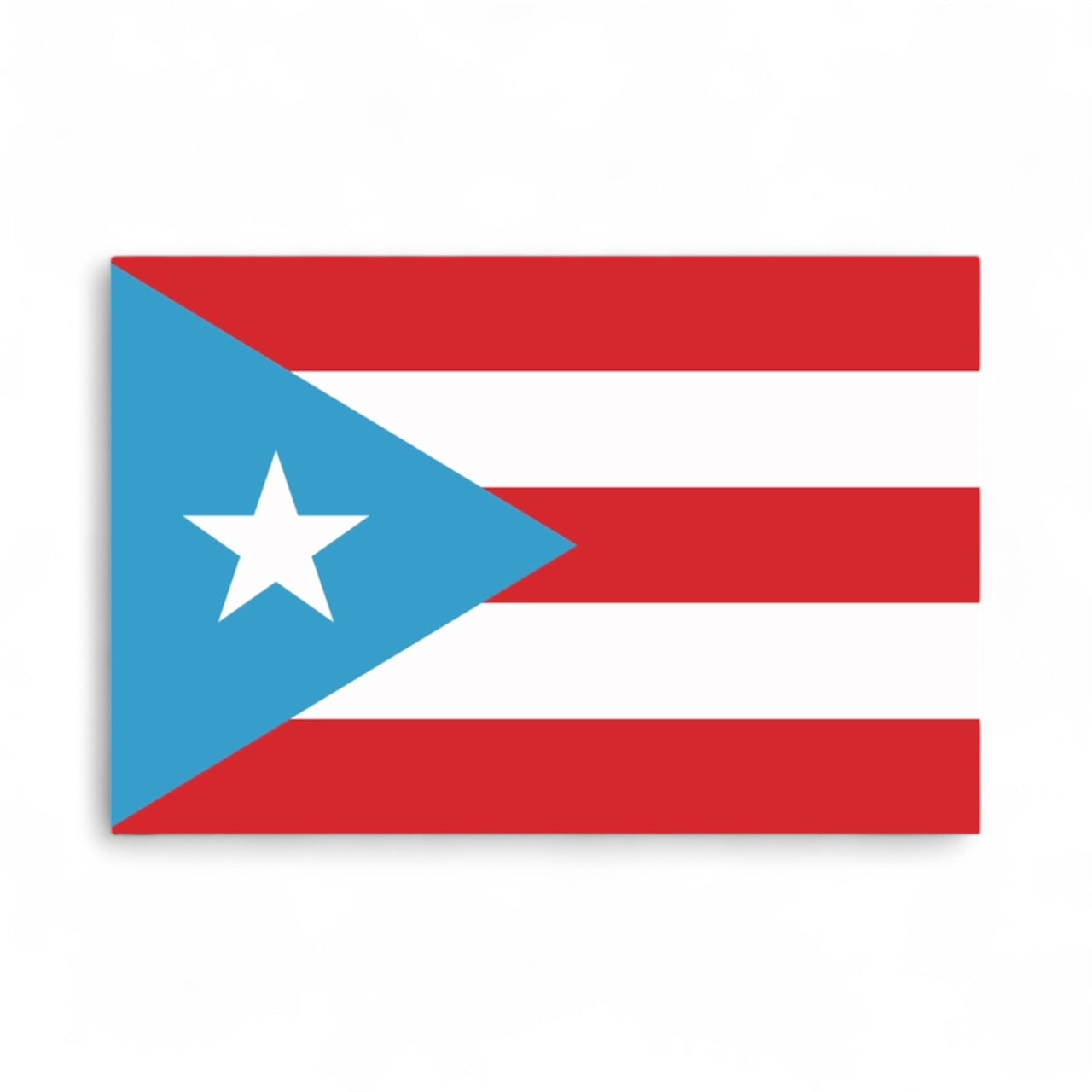 Poster PR Flag 8.5" x 11"