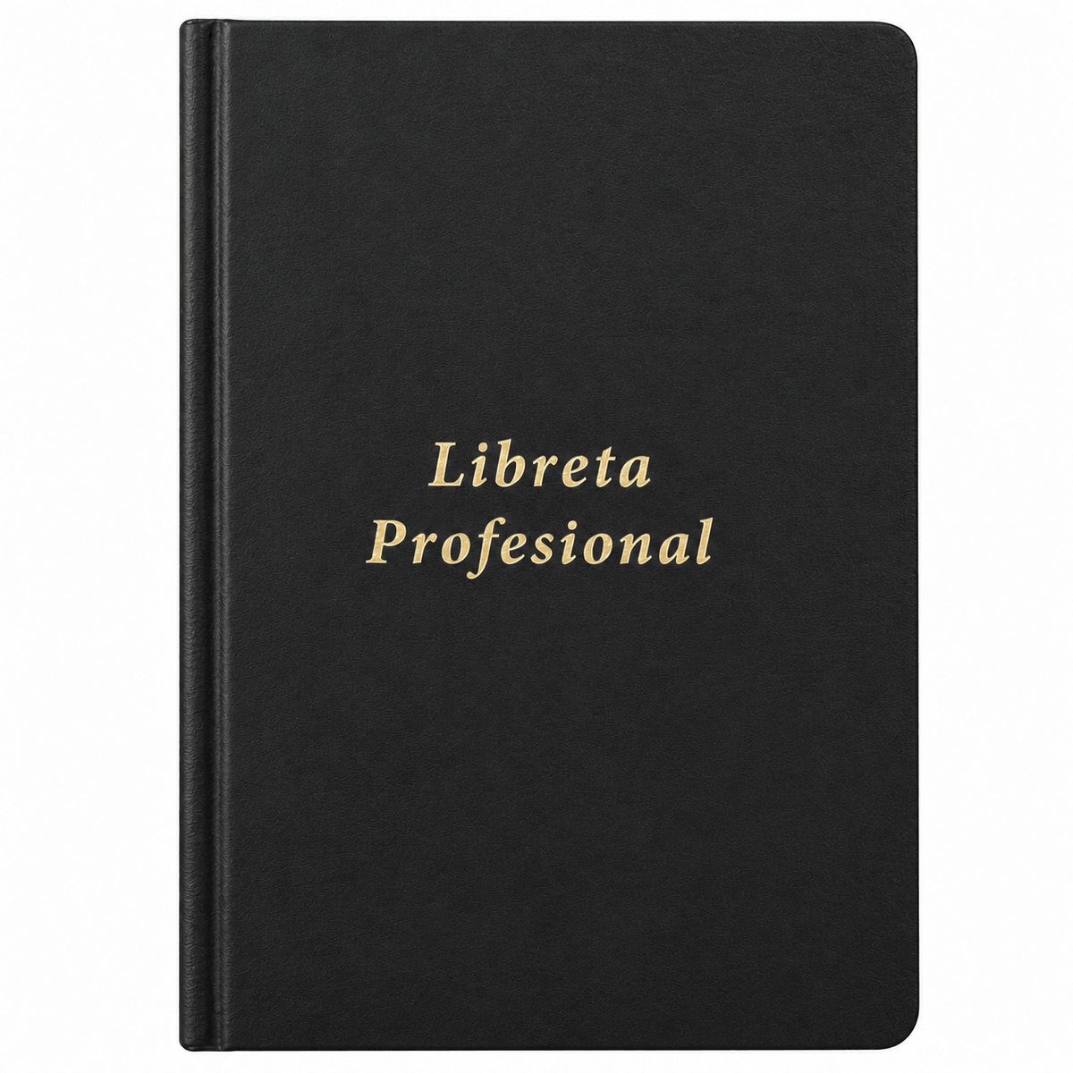 Professional Notebook 10"x 7"