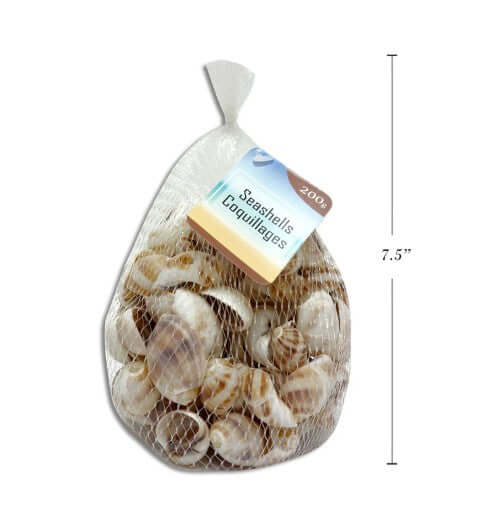 Seashells (200g)