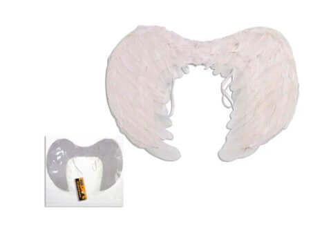 Angel Wings Feather
