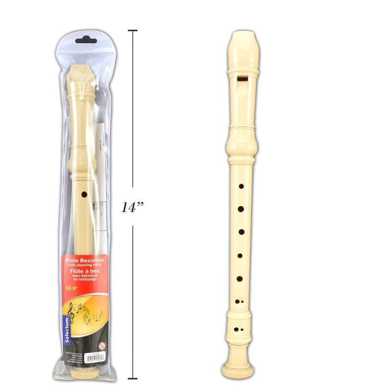 Flute Recorder B