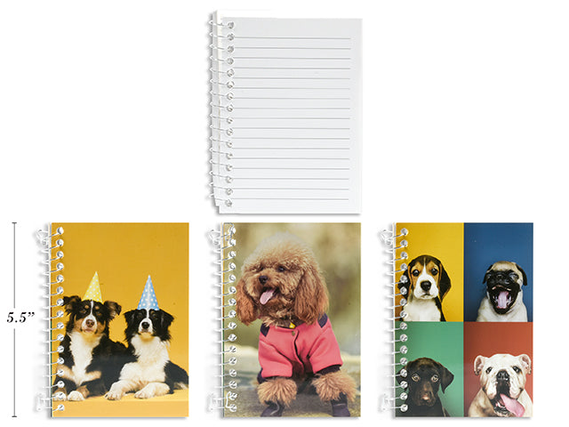 Little Big Notebook 240pag