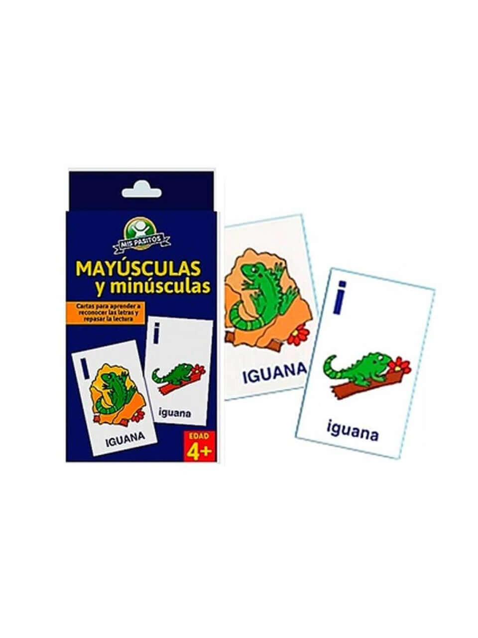 Flash Cards Mayúsculas y Minúsculas- Memoria