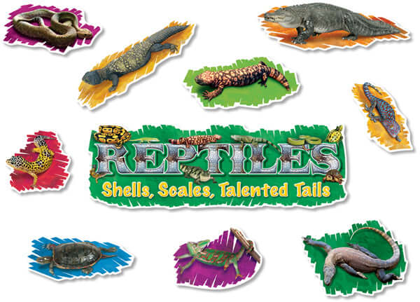 Mini BBS Reptiles