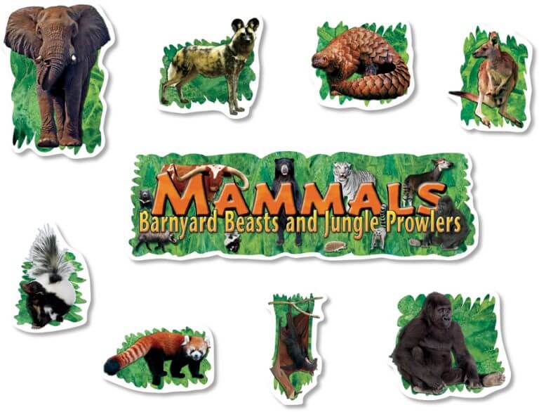 Mini BBS Land Mammals