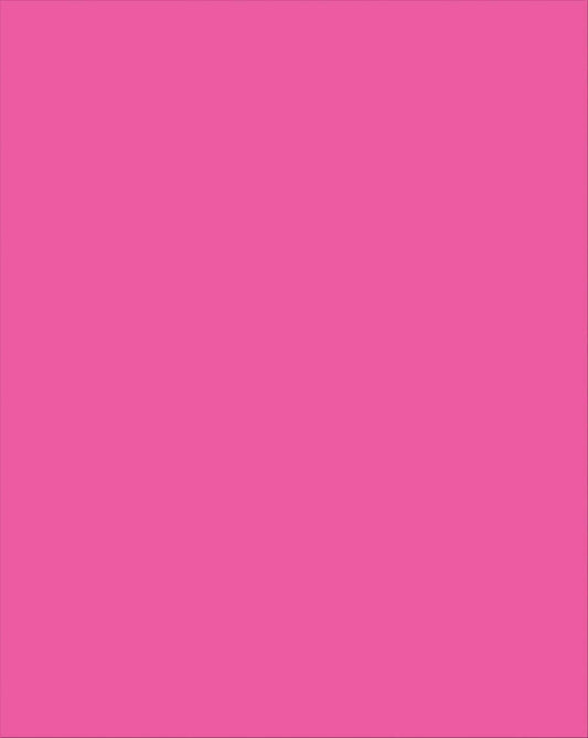Plastic Poster Board Pink