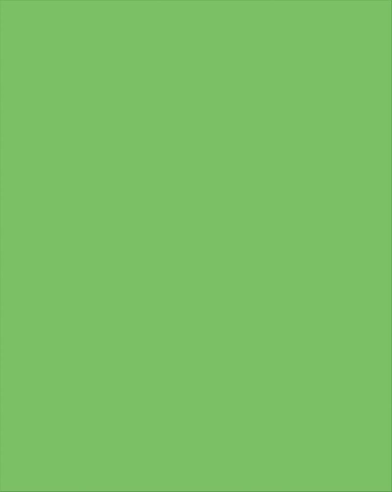 Plastic Poster Board Green