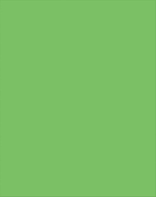 Plastic Poster Board Green