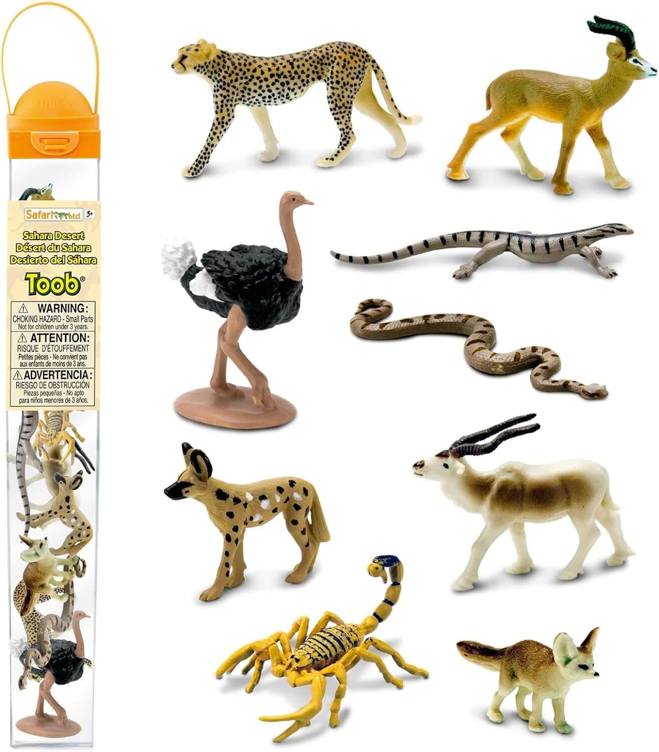 Animals Sahara Desert Tube