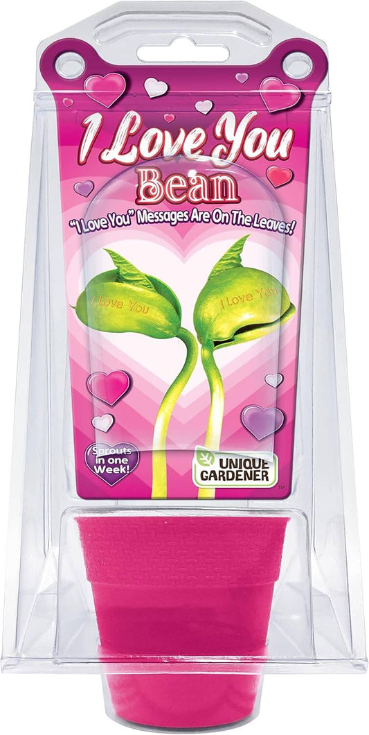 Growing Plant Bean "ILoveYou"