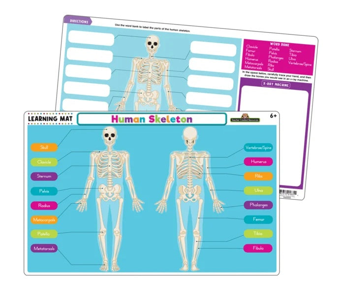 Learning Mat Human Skeleton