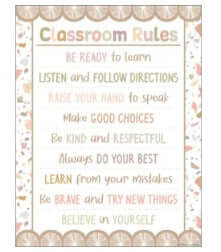 Poster Class Rules