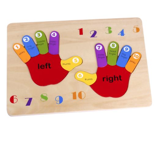 Puzzle Hand Left & Right