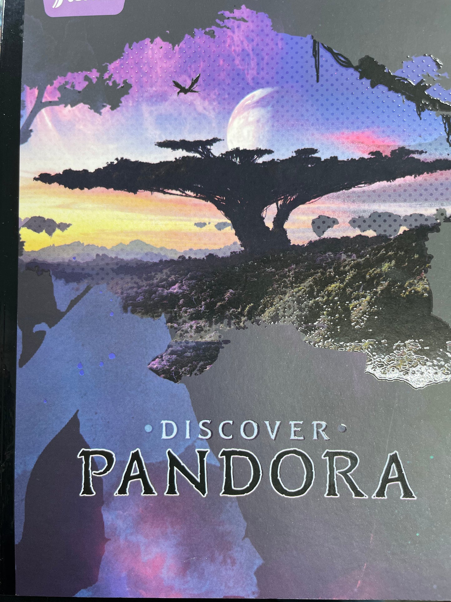 Notebook Lrg Reg. Avatar