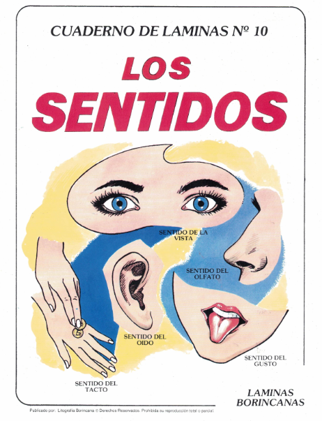 Libro de Láminas de Los Sentidos