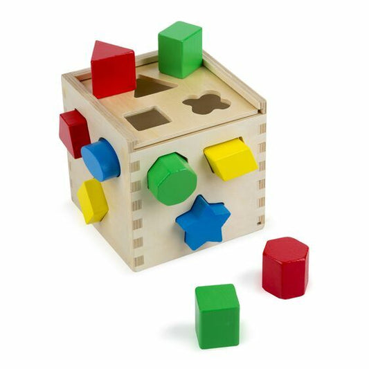 Educational Shape Sorting Cube