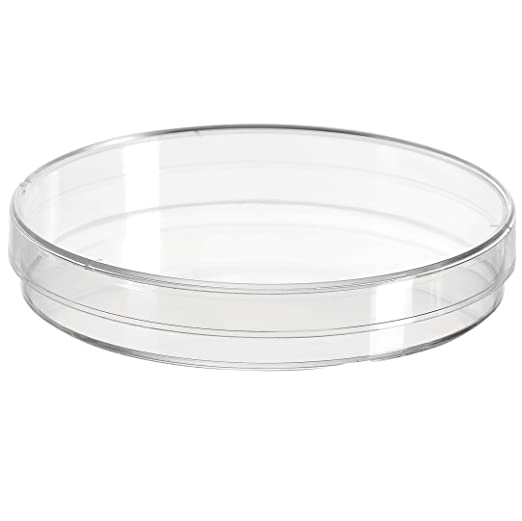 Petri Dish With Lid