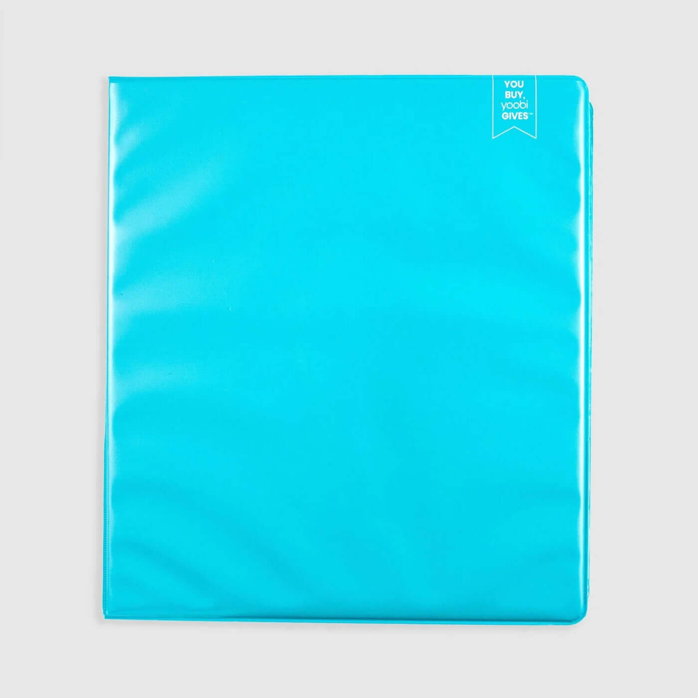 Binder 1' D-Ring Aqua