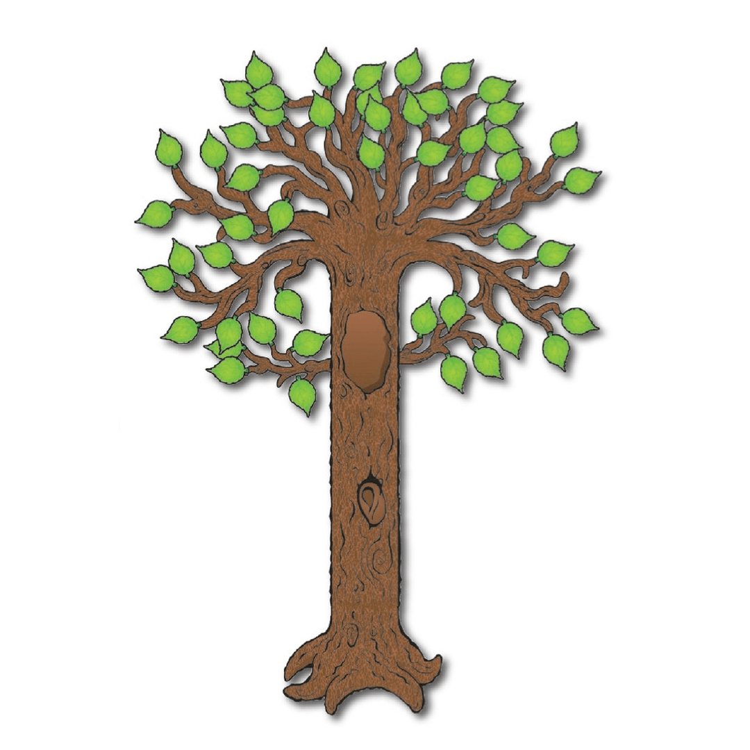 Big Tree Classic Bulletin Board Set Grade