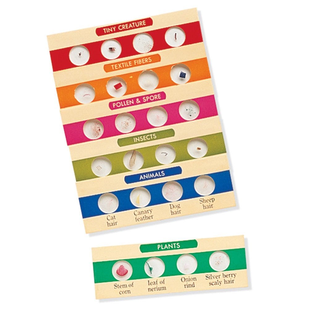 Prepared Slides Set I (24 specimens)