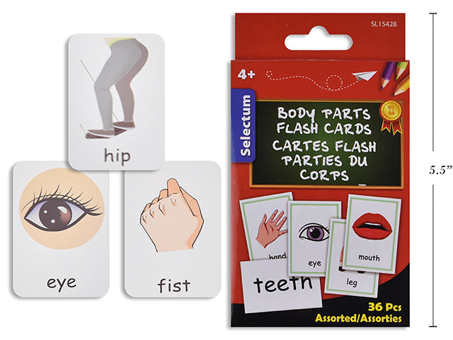 Flash Cards Body Parts