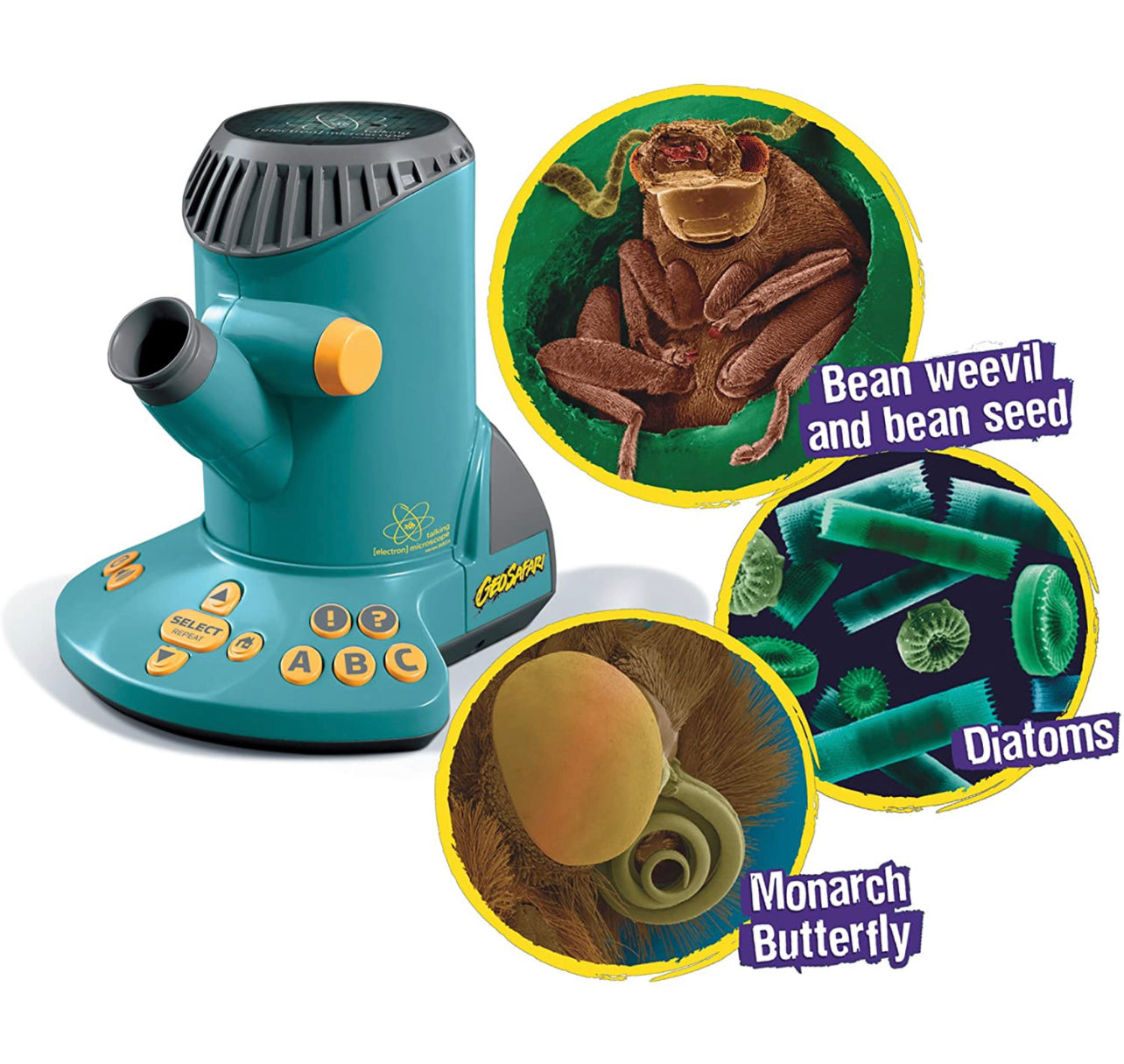 Microscope