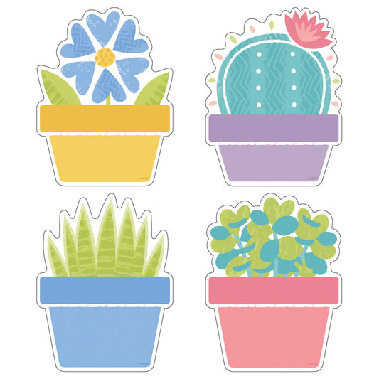 Accent Garden Plants