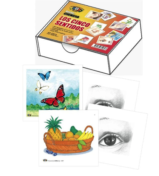 Flash Cards Los Cinco Sentidos [bx-60]