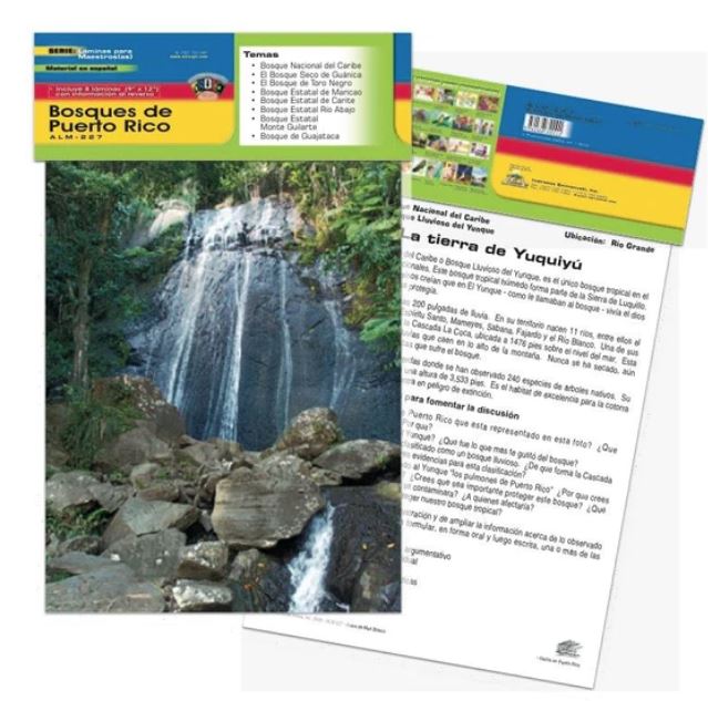 Poster Bosques de Puerto Rico [pk-8]