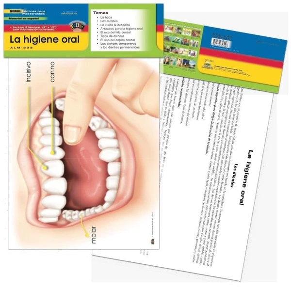 La higiene oral  [pk-8]