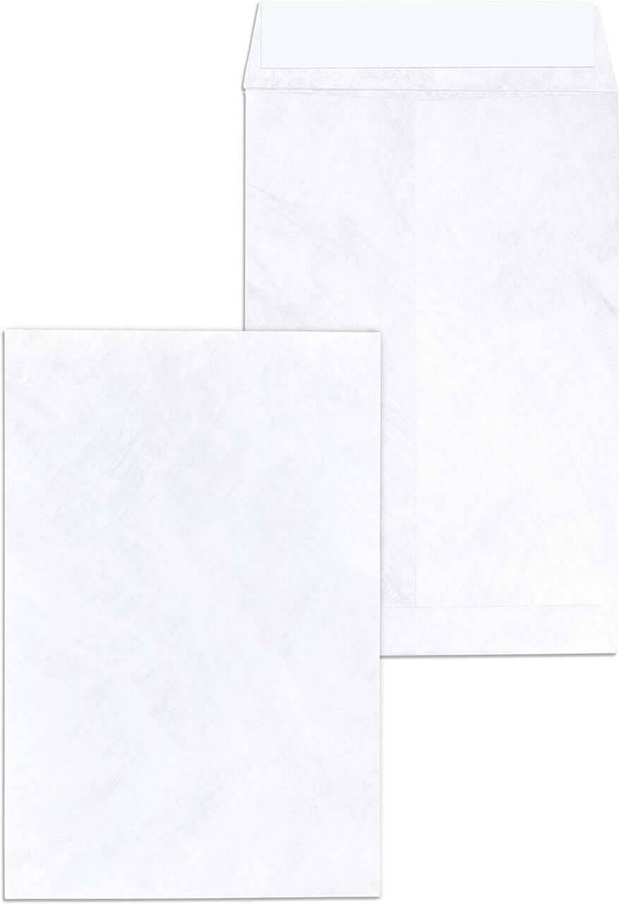 Tyvek Envelopes 6x9" [pk-20]