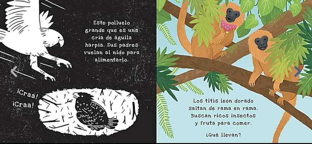 Story Book Secretos de la Selva Tropical
