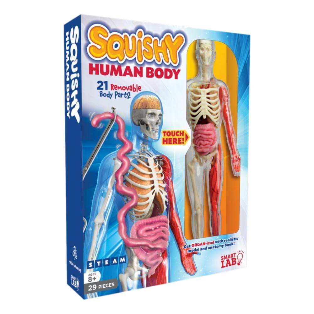 Squishy Human Body Science