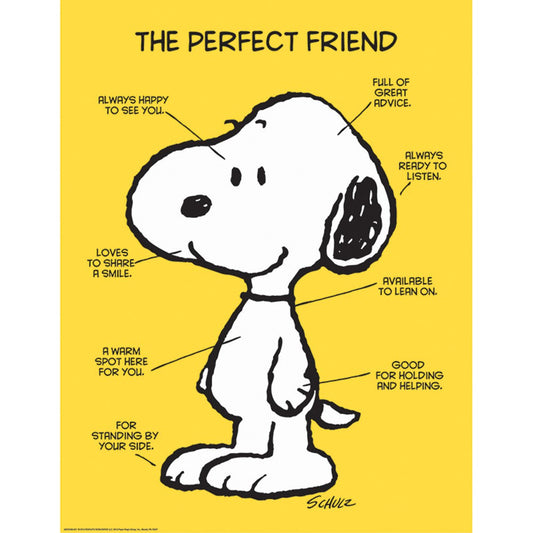 Poster The Perfect Friends