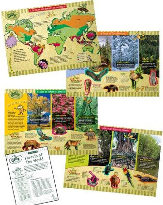 BBS Save The Forest