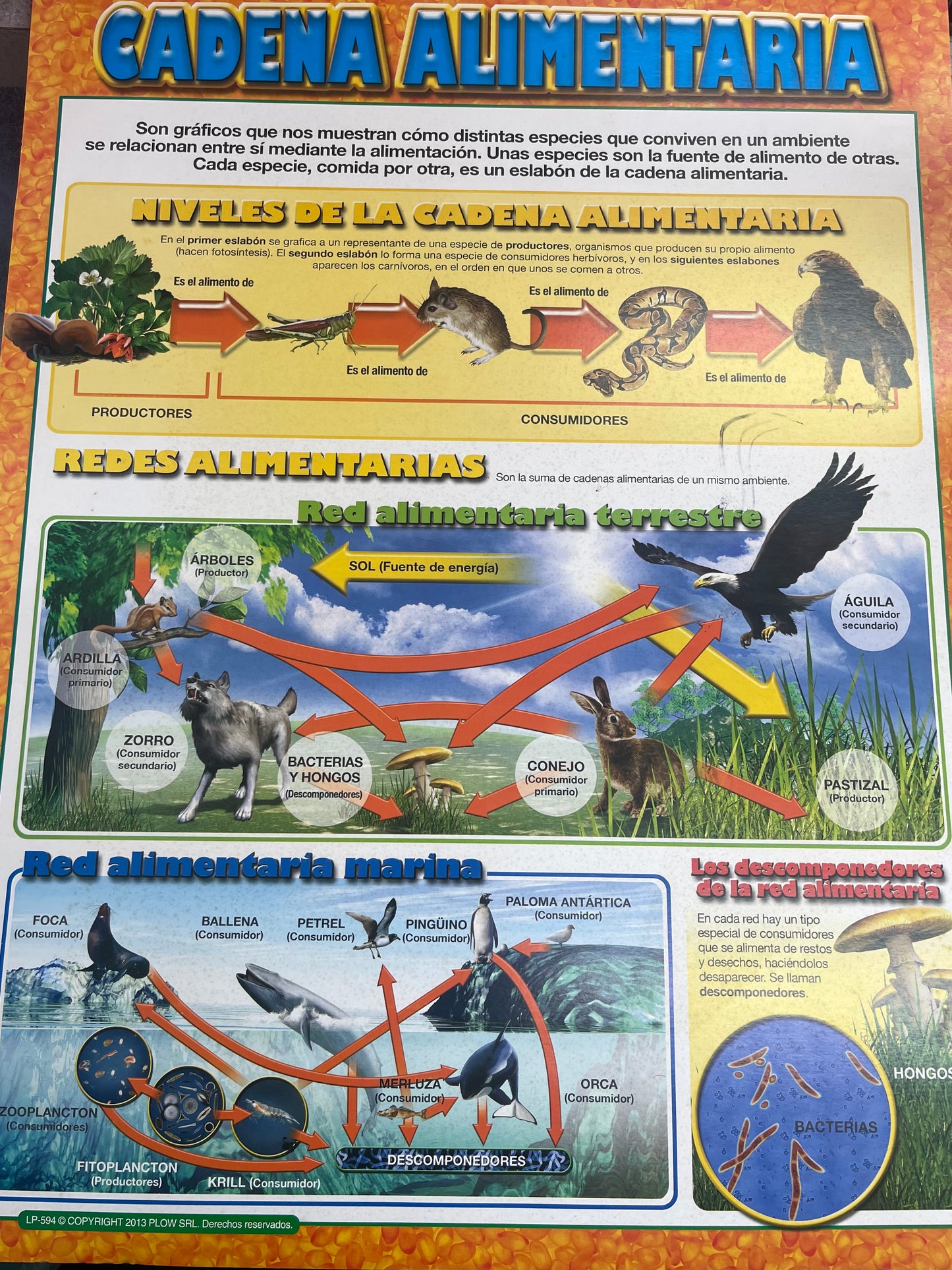 Poster Cadena Alimentaria