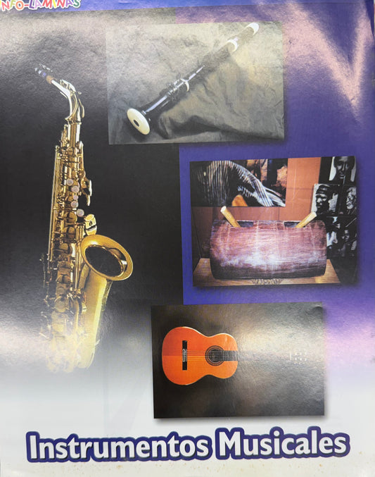 Picture Book Instrumentos Musicales