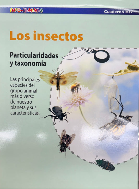Picture Book Los Insectos