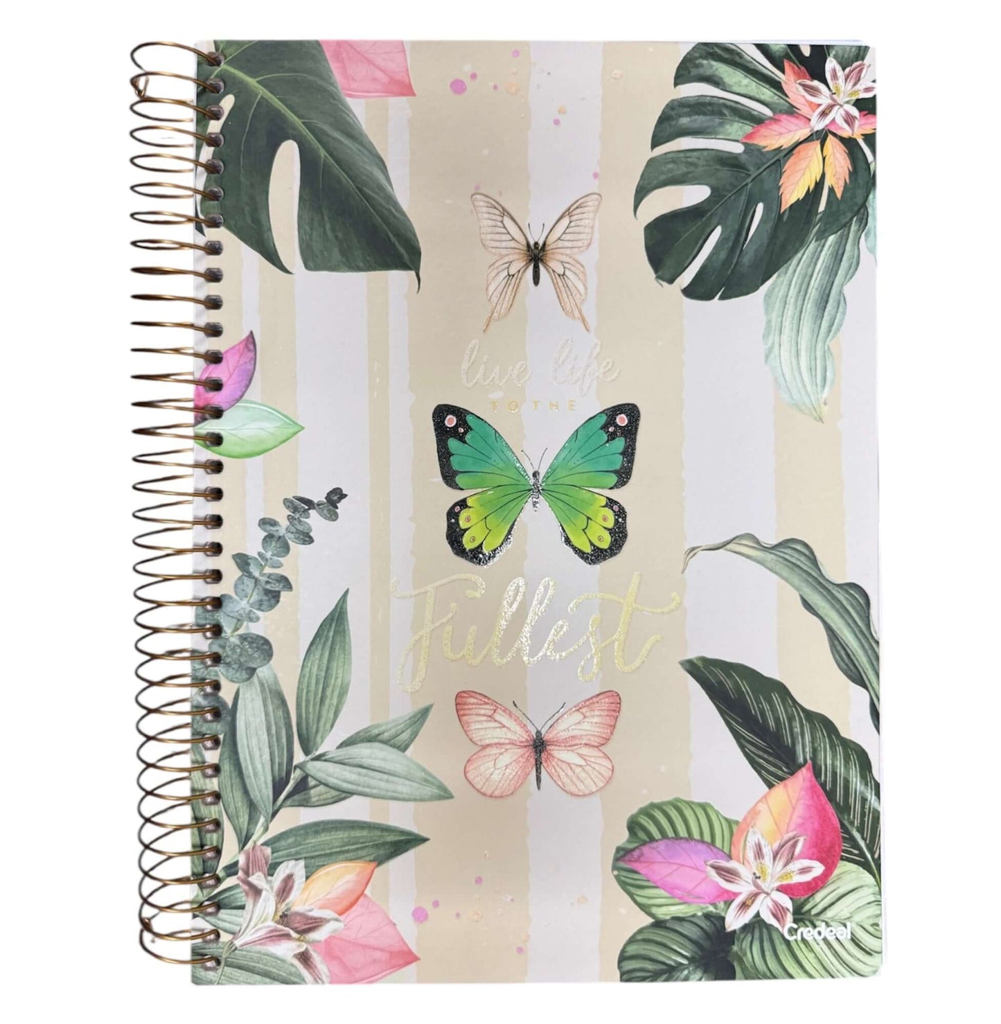 Dura Book Purpurina [5 materias]
