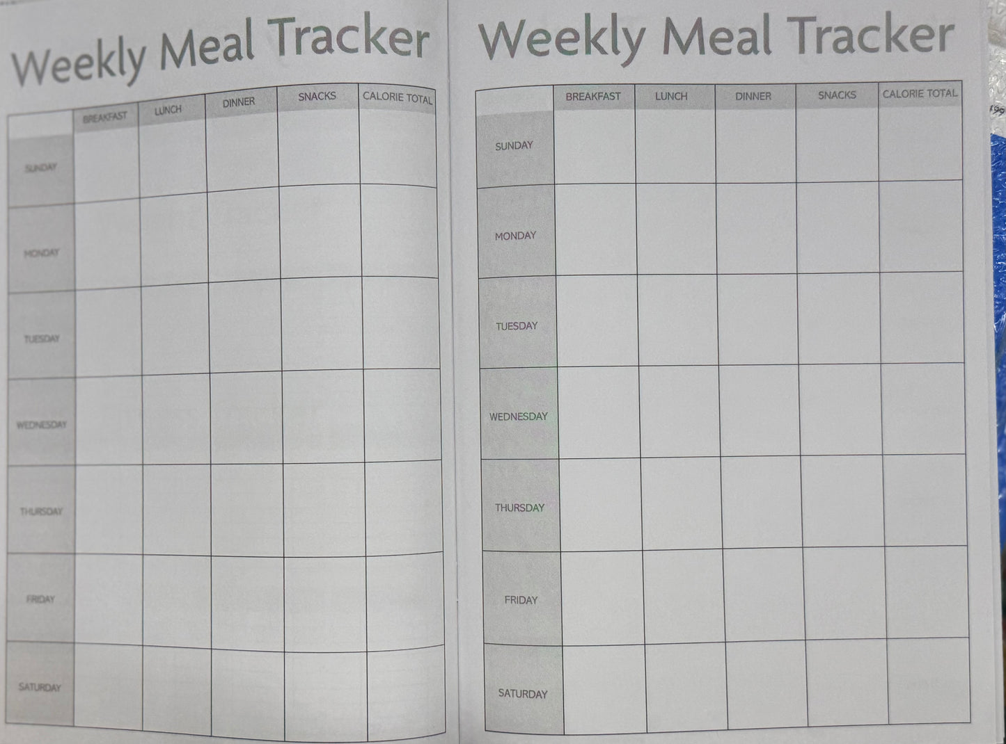 Planner Healthy [EACH]