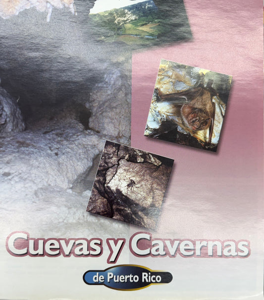 Picture Book Cuevas y Cavernas de PR
