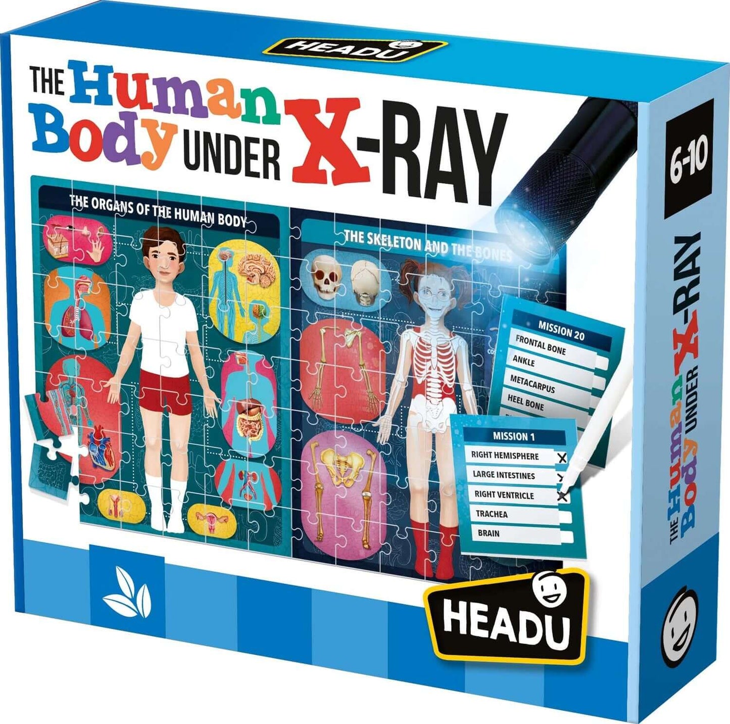 Puzzle Human Body X Ray