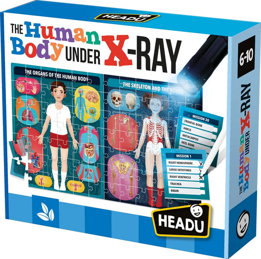 Puzzle Human Body X Ray