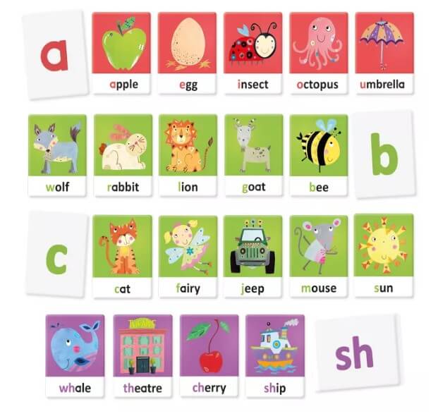 Flash Cards Tactile and Phonics