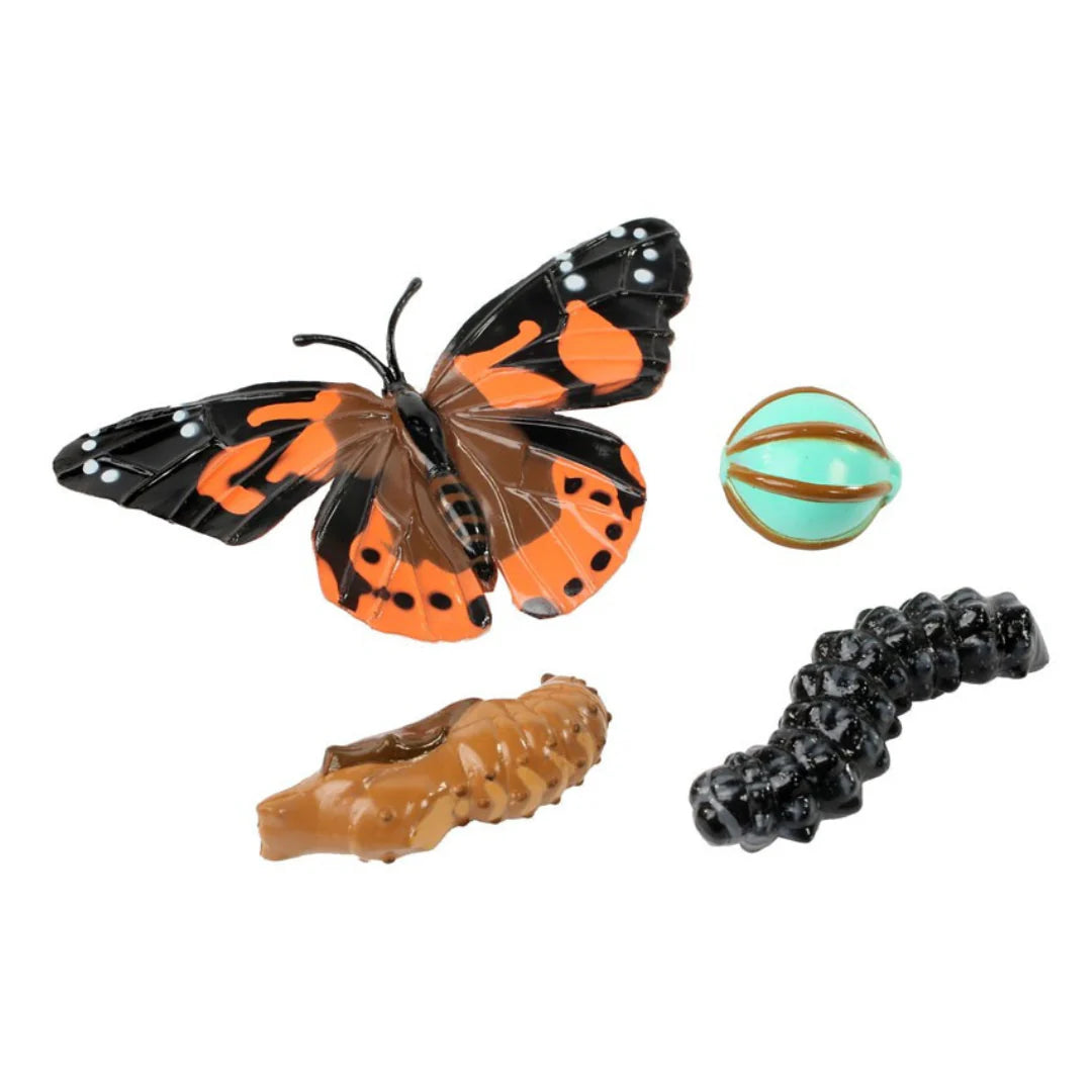 Butterfly Life Cycle Figurines