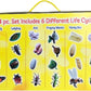 Life Cycle Stages [24pcs]